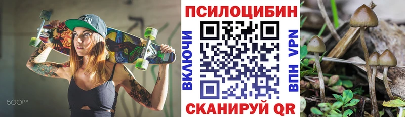 darknet официальный сайт  Ирбит  Галлюциногенные грибы прущие грибы  наркошоп 